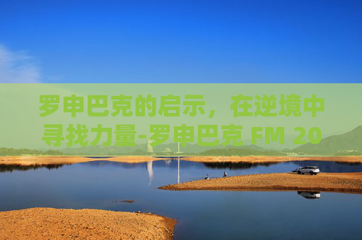 罗申巴克的启示，在逆境中寻找力量-罗申巴克 FM 2012 数值
