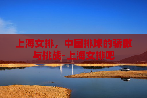 上海女排，中国排球的骄傲与挑战-上海女排吧