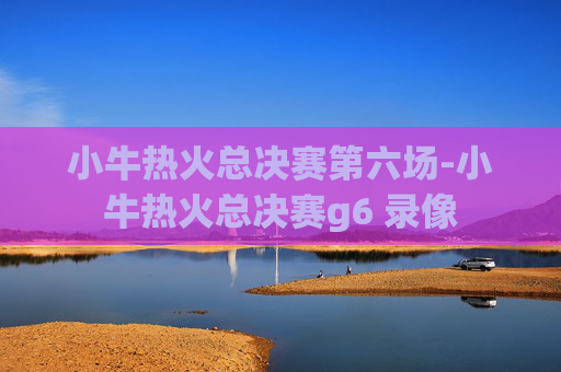 小牛热火总决赛第六场-小牛热火总决赛g6 录像