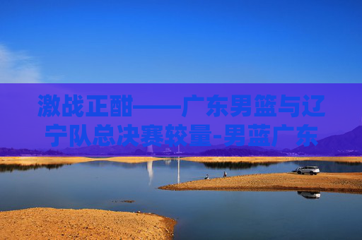 激战正酣——广东男篮与辽宁队总决赛较量-男蓝广东对辽宁决赛的结果