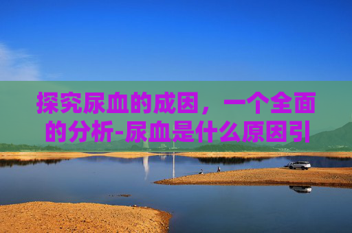 探究尿血的成因，一个全面的分析-尿血是什么原因引起的应该怎么办