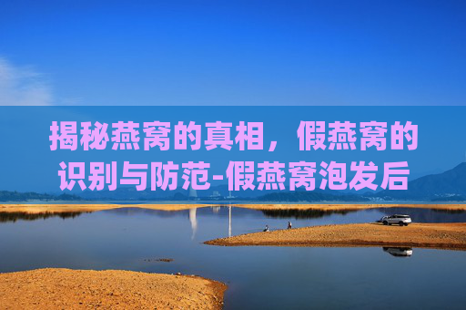 揭秘燕窝的真相，假燕窝的识别与防范-假燕窝泡发后样子(图)