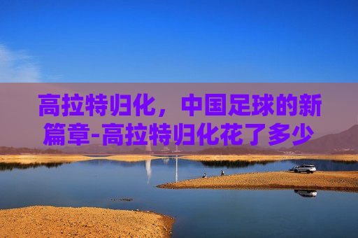 高拉特归化，中国足球的新篇章-高拉特归化花了多少钱