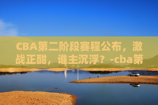 CBA第二阶段赛程公布，激战正酣，谁主沉浮？-cba第二阶段赛程公布时间