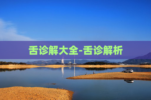舌诊解大全-舌诊解析
