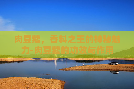 肉豆蔻，香料之王的神秘魅力-肉豆蔻的功效与作用