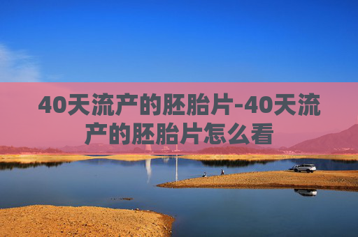 40天流产的胚胎片-40天流产的胚胎片怎么看