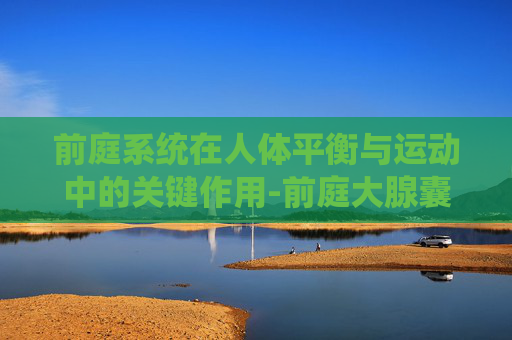 前庭系统在人体平衡与运动中的关键作用-前庭大腺囊肿女性怎么治疗