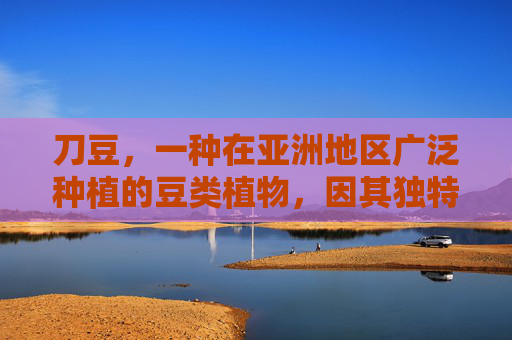 刀豆，一种在亚洲地区广泛种植的豆类植物，因其独特的口感和营养价值而备受推崇。它不仅是一种美味的食材，还具有多种健康功效与作用。本文将深入探讨刀豆的功效与作用，帮助您更好地了解这种神奇的植物。-刀豆的功效与作用,刀豆的副作用
