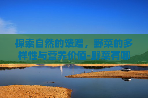 探索自然的馈赠，野菜的多样性与营养价值-野菜有哪些品种图片大全