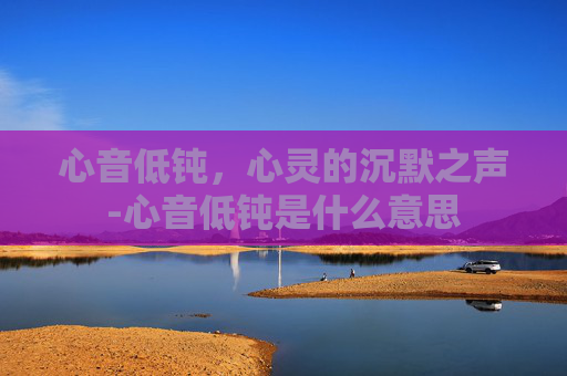 心音低钝，心灵的沉默之声-心音低钝是什么意思