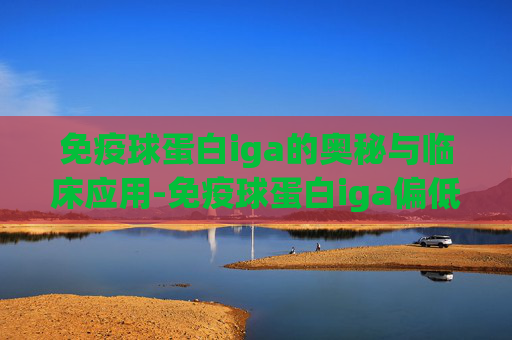免疫球蛋白iga的奥秘与临床应用-免疫球蛋白iga偏低意义