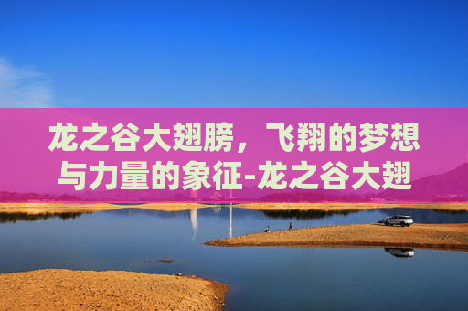 龙之谷大翅膀，飞翔的梦想与力量的象征-龙之谷大翅膀代码
