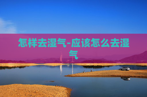 怎样去湿气-应该怎么去湿气