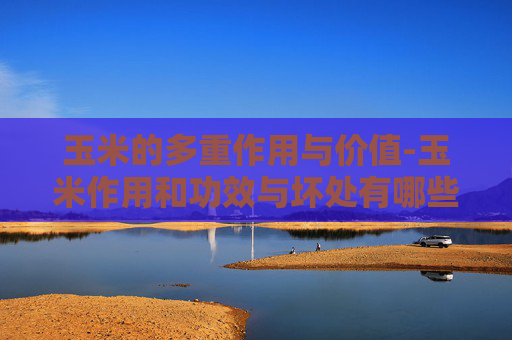 玉米的多重作用与价值-玉米作用和功效与坏处有哪些