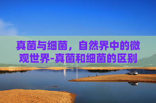 真菌与细菌，自然界中的微观世界-真菌和细菌的区别是什么