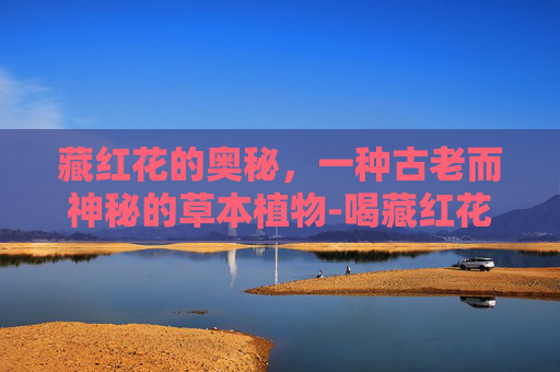 藏红花的奥秘，一种古老而神秘的草本植物-喝藏红花会流产吗
