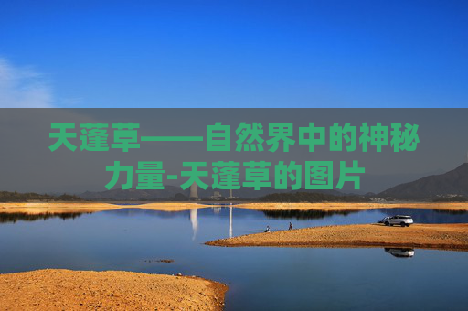 天蓬草——自然界中的神秘力量-天蓬草的图片