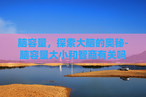 脑容量，探索大脑的奥秘-脑容量大小和智商有关吗