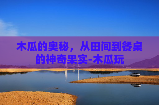 木瓜的奥秘，从田间到餐桌的神奇果实-木瓜玩