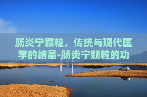 肠炎宁颗粒，传统与现代医学的结晶-肠炎宁颗粒的功效与作用