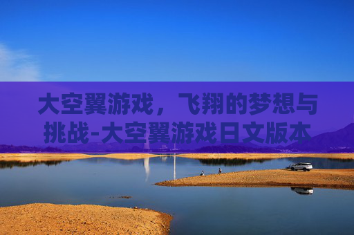 大空翼游戏，飞翔的梦想与挑战-大空翼游戏日文版本翻译