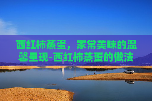 西红柿蒸蛋,家常美味的温馨呈现-西红柿蒸蛋的做法 西红柿蒸蛋,家常美味的温馨呈现-西红柿蒸蛋的做法