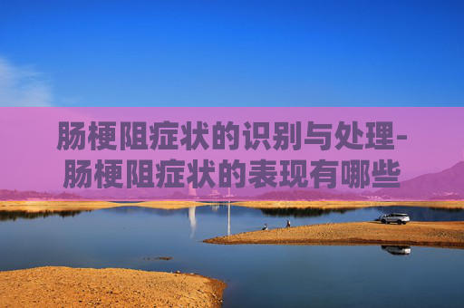 肠梗阻症状的识别与处理-肠梗阻症状的表现有哪些 肠梗阻症状的识别与处理-肠梗阻症状的表现有哪些