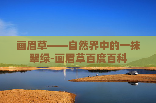 画眉草——自然界中的一抹翠绿-画眉草百度百科 画眉草——自然界中的一抹翠绿-画眉草百度百科