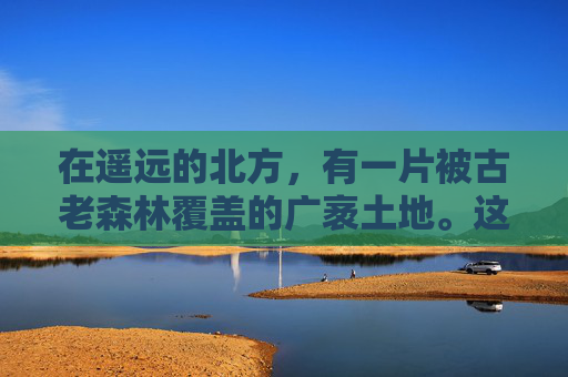 在遥远的北方,有一片被古老森林覆盖的广袤土地。这里的树木高大而茂密,树干粗壮,枝叶繁盛,仿佛是大自然精心雕琢的艺术品。然而,这片森林中却隐藏着一种神秘的植物——夜勤病栎。-夜勤病栎在哪看 在遥远的北方,有一片被古老森林覆盖的广袤土地。这里的树木高大而茂密,树干粗壮,枝叶繁盛,仿佛是大自然精心雕琢的艺术品。然而,这片森林中却隐藏着一种神秘的植物——夜勤病栎。-夜勤病栎在哪看