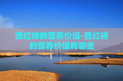西红柿的营养价值-西红柿的营养价值有哪些 西红柿的营养价值-西红柿的营养价值有哪些