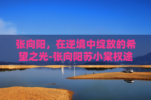 张向阳,在逆境中绽放的希望之光-张向阳苏小棠权途小说阅读 张向阳,在逆境中绽放的希望之光-张向阳苏小棠权途小说阅读