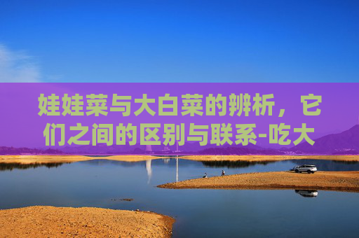 娃娃菜与大白菜的辨析,它们之间的区别与联系-吃大白菜好还是娃娃菜好 娃娃菜与大白菜的辨析,它们之间的区别与联系-吃大白菜好还是娃娃菜好