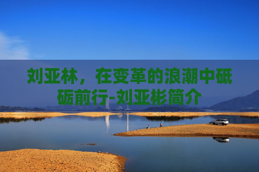 刘亚林,在变革的浪潮中砥砺前行-刘亚彬简介 刘亚林,在变革的浪潮中砥砺前行-刘亚彬简介