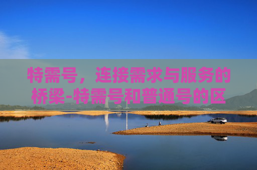 特需号,连接需求与服务的桥梁-特需号和普通号的区别 特需号,连接需求与服务的桥梁-特需号和普通号的区别