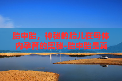 胎中胎,神秘的胎儿在母体内孕育的奥秘-胎中胎是真实存在的吗 胎中胎,神秘的胎儿在母体内孕育的奥秘-胎中胎是真实存在的吗