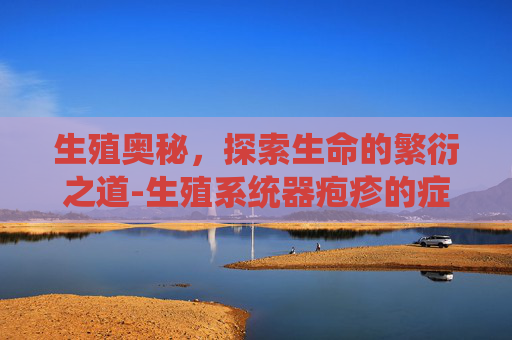 生殖奥秘,探索生命的繁衍之道-生殖系统器疱疹的症状和图片 生殖奥秘,探索生命的繁衍之道-生殖系统器疱疹的症状和图片