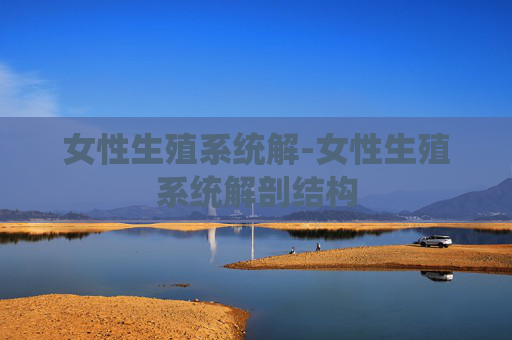 女性生殖系统解-女性生殖系统解剖结构 女性生殖系统解-女性生殖系统解剖结构