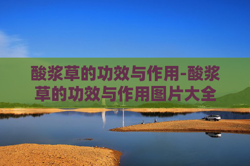 酸浆草的功效与作用-酸浆草的功效与作用图片大全 酸浆草的功效与作用-酸浆草的功效与作用图片大全