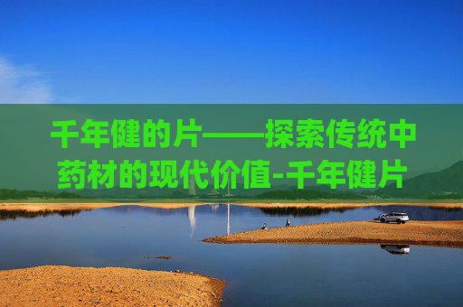 千年健的片——探索传统中药材的现代价值-千年健片500g 千年健的片——探索传统中药材的现代价值-千年健片500g