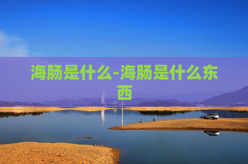 海肠是什么-海肠是什么东西