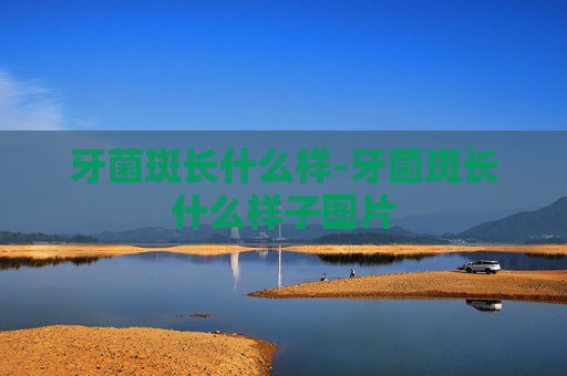 牙菌斑长什么样-牙菌斑长什么样子图片