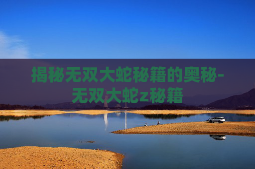 揭秘无双大蛇秘籍的奥秘-无双大蛇z秘籍