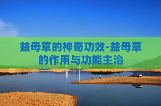 益母草的神奇功效-益母草的作用与功能主治 益母草的神奇功效-益母草的作用与功能主治