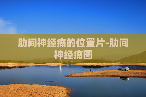 肋间神经痛的位置片-肋间神经痛图 肋间神经痛的位置片-肋间神经痛图