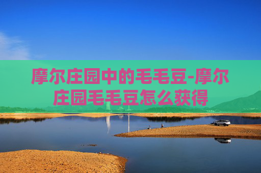 摩尔庄园中的毛毛豆-摩尔庄园毛毛豆怎么获得