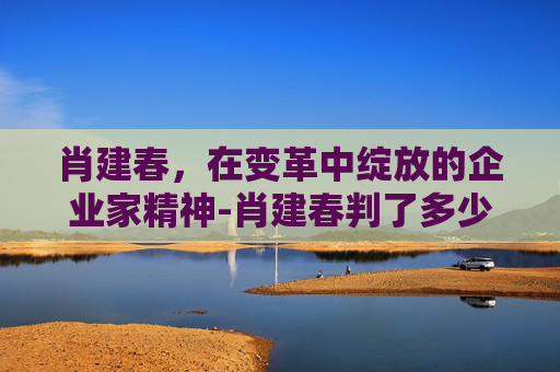 肖建春，在变革中绽放的企业家精神-肖建春判了多少年
