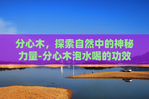 分心木，探索自然中的神秘力量-分心木泡水喝的功效和副作用