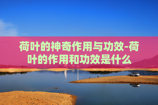 荷叶的神奇作用与功效-荷叶的作用和功效是什么