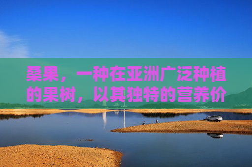 桑果，一种在亚洲广泛种植的果树，以其独特的营养价值和多种健康功效而闻名。桑果不仅味道甜美，还富含多种对人体有益的营养成分，包括维生素、矿物质、抗氧化剂和膳食纤维等。以下是桑果的一些主要功效，-桑果有什么功效与作用